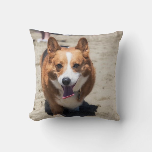Adorable Corgi two sided throw pillow (Front)