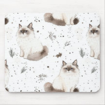 Adorable Cute Ragdoll Cat Winter 