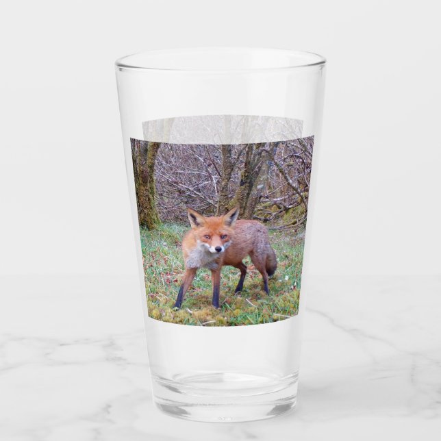 Adorable Cute Red Fox Woodland Animal Illustration Glass (Front)