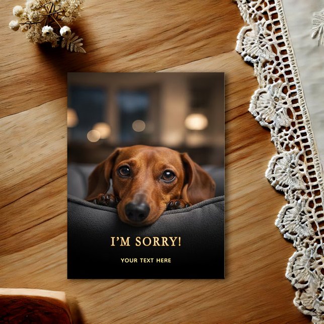 Adorable Dachshund I'm Sorry  Postcard (Creator Uploaded)