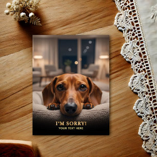 Adorable Dachshund I'm Sorry  Postcard
