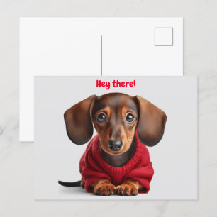 Adorable Dachshund Puppy  Postcard