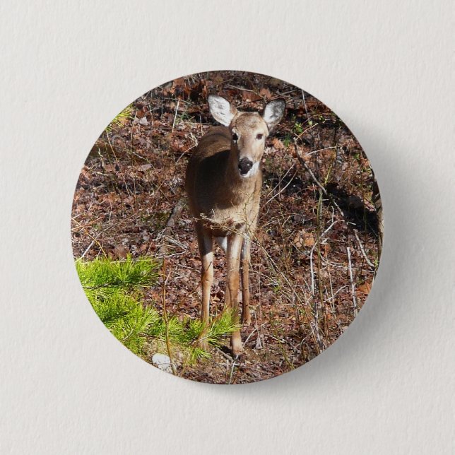 Adorable Deer in the Woods Nature Photography 2 Inch Round Button (Front)