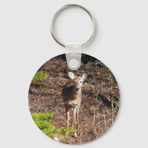 Adorable Deer in the Woods Nature Photography Keychain