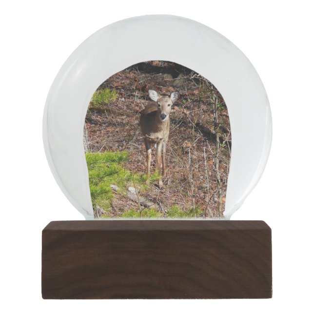 Adorable Deer in the Woods Nature Photography Snow Globe (Front)