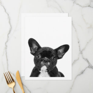 Adorable Dog   Black French Bulldog Face Menu
