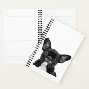 Adorable Dog   Black French Bulldog Face Planner