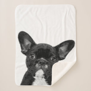 Adorable Dog Black French Bulldog Face Sherpa Blanket