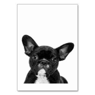 Adorable Dog Black French Bulldog Face Table Number