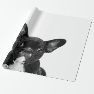 Adorable Dog | Black French Bulldog Face Wrapping Paper