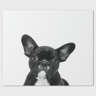 Adorable Dog   Black French Bulldog Face Wrapping Paper