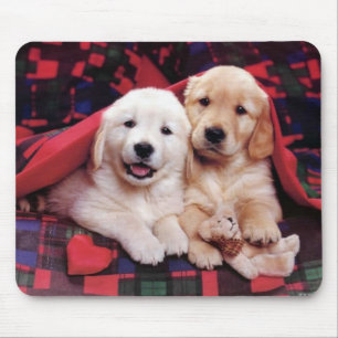 Adorable Dog Photography Cards, Gifts - Customize Mouse Pad