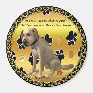 Adorable dog sitting with a cute fun quote magnet