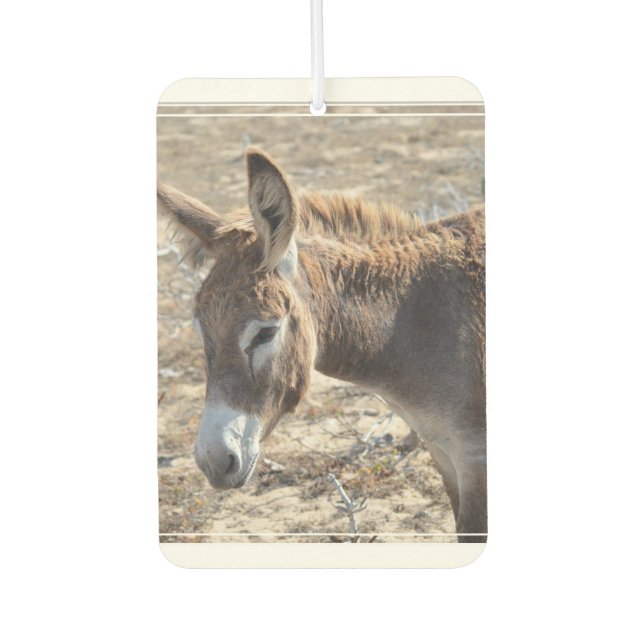 Adorable Donkey Air Freshener (Front)