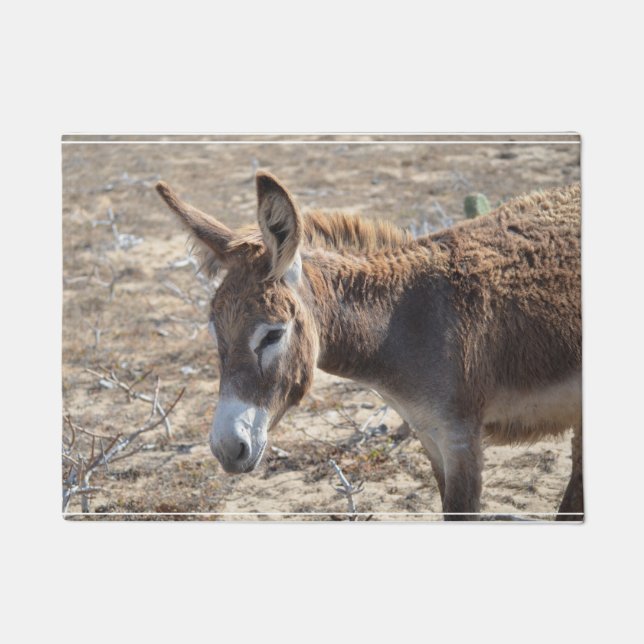 Adorable Donkey Doormat (Front)