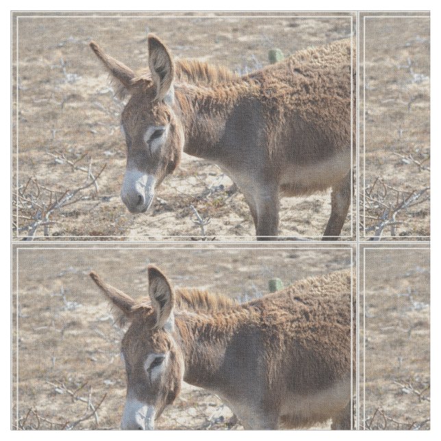 Adorable Donkey Fabric (Close Up)