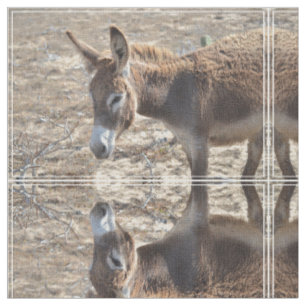 Adorable Donkey Fabric