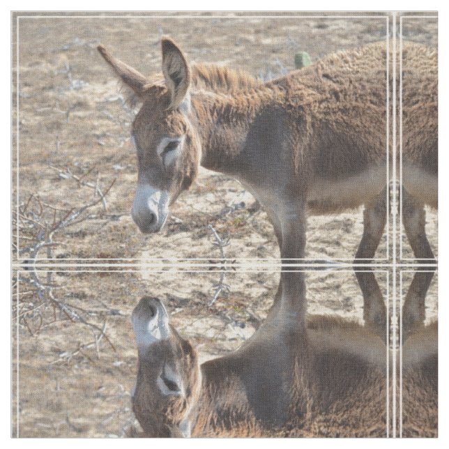 Adorable Donkey Fabric (Close Up)