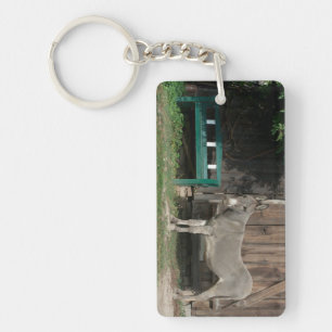 Adorable Donkey Next To Wooden Green Bench Keychain