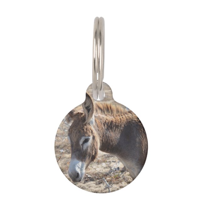 Adorable Donkey Pet Tag (Front)