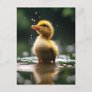 "Adorable Duckling in the Rain Postcard