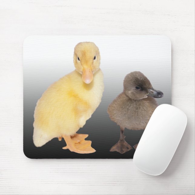 Adorable Ducklings Photograph Mouse Pad (With Mouse)