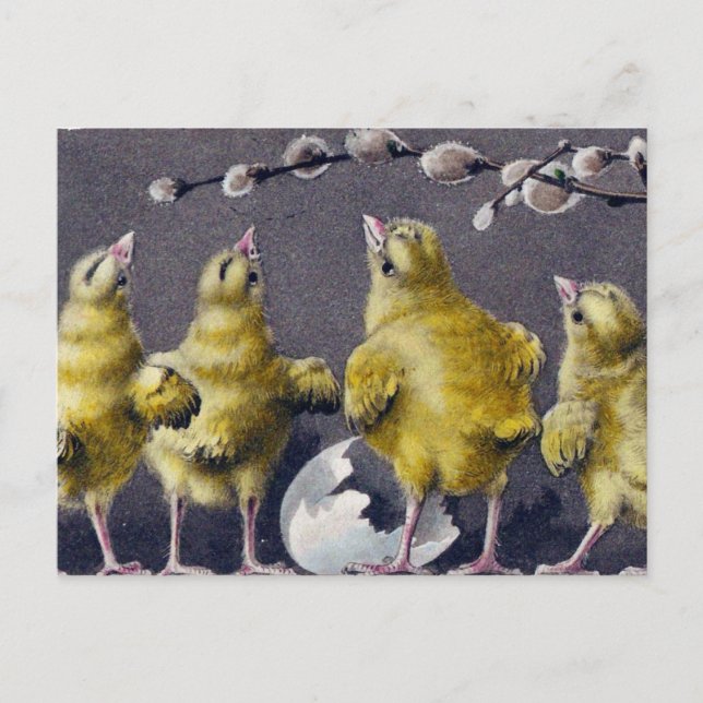 Adorable Easter Vintage Chicks Holiday Postcard (Front)