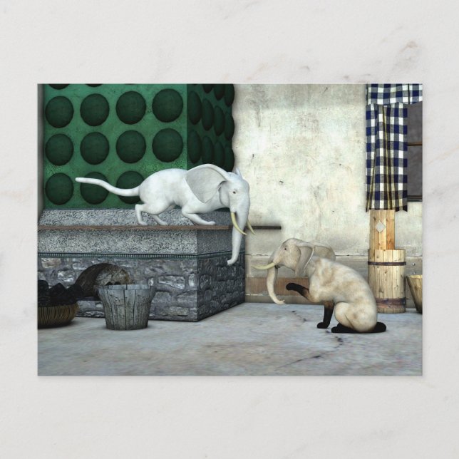 Adorable Elephant Cats Postcard (Front)