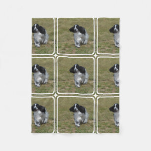 Adorable English Cocker Spaniel Fleece Blanket