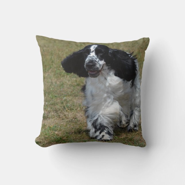 Adorable English Cocker Spaniel Throw Pillow (Front)