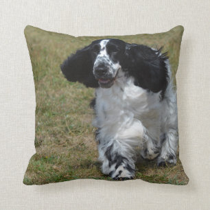 Adorable English Cocker Spaniel Throw Pillow