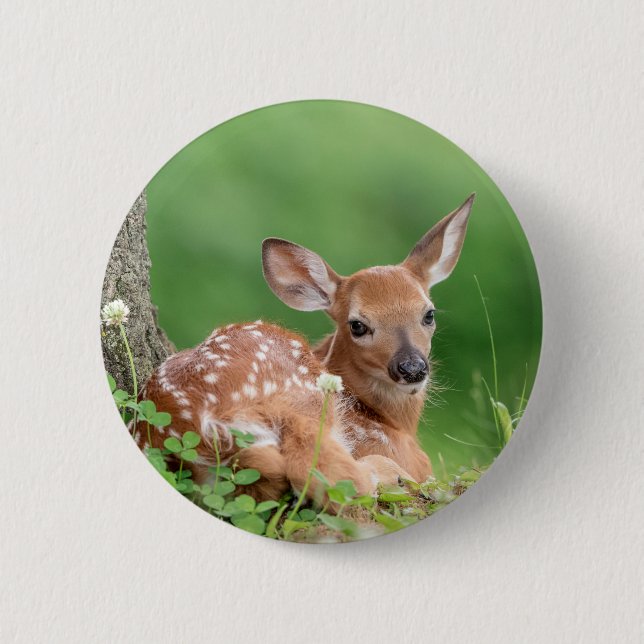 Adorable Fawn laying under a tree 2 Inch Round Button (Front)