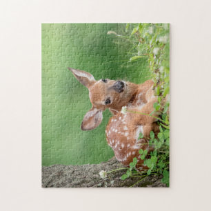 Adorable Fawn laying under a tree Jigsaw Puzzle