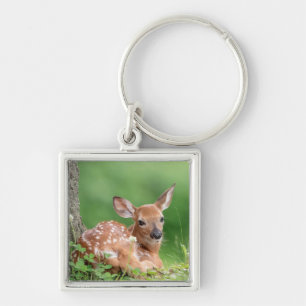 Adorable Fawn laying under a tree Keychain