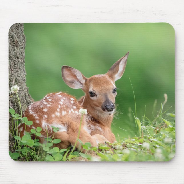 Adorable Fawn laying under a tree Mouse Pad (Front)