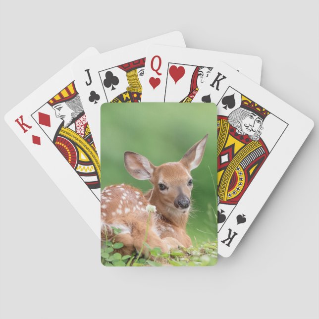 Adorable Fawn laying under a tree Playing Cards (Back)