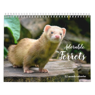 Adorable Ferrets 2025 Calendar