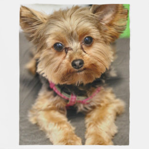 Adorable Fleece Blanket