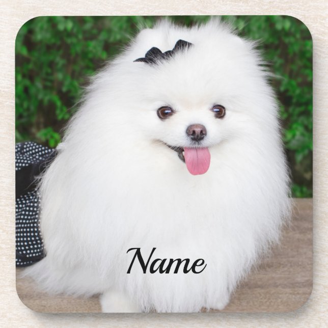 Adorable Fluffy White Puppy Dog Coaster (Front)