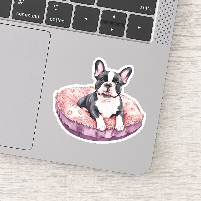 Adorable French Bulldog on a Cushion (Detail)