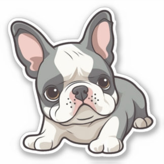 Adorable French Bulldog Puppy