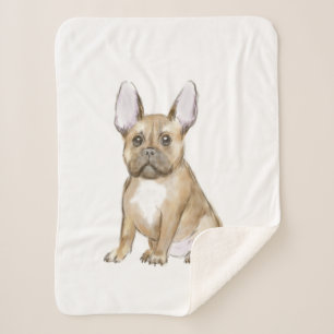 Adorable french bulldog puppy sherpa blanket
