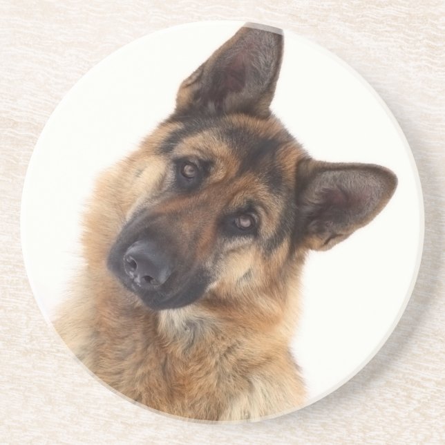 Adorable funny german shepherd portrait coaster (Front)