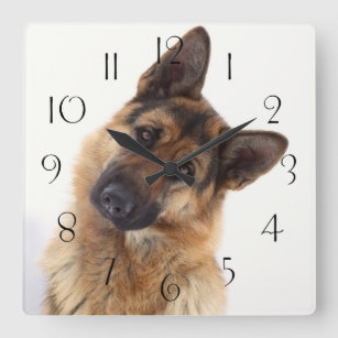 Adorable funny german shepherd portrait square wall clock