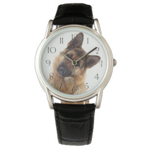 Adorable funny german shepherd portrait watch