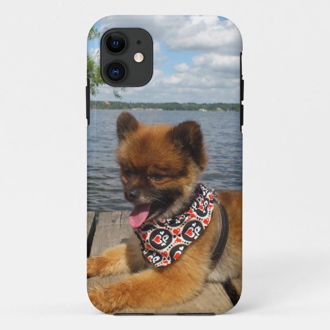 Adorable, furry dwarf spitz dog Case-Mate iPhone case (Back)