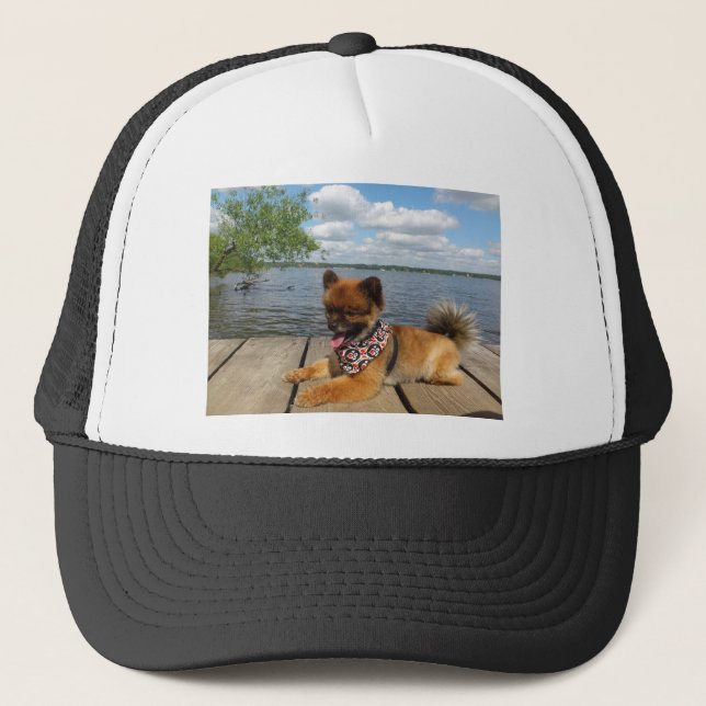 Adorable, furry dwarf spitz dog trucker hat (Front)