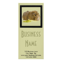 Adorable Ginger Guinea Pig Photo Pet Care Business