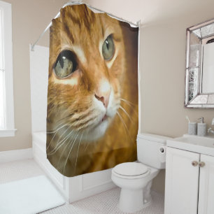 Adorable Ginger Tabby Cat Posing Pet Portrait