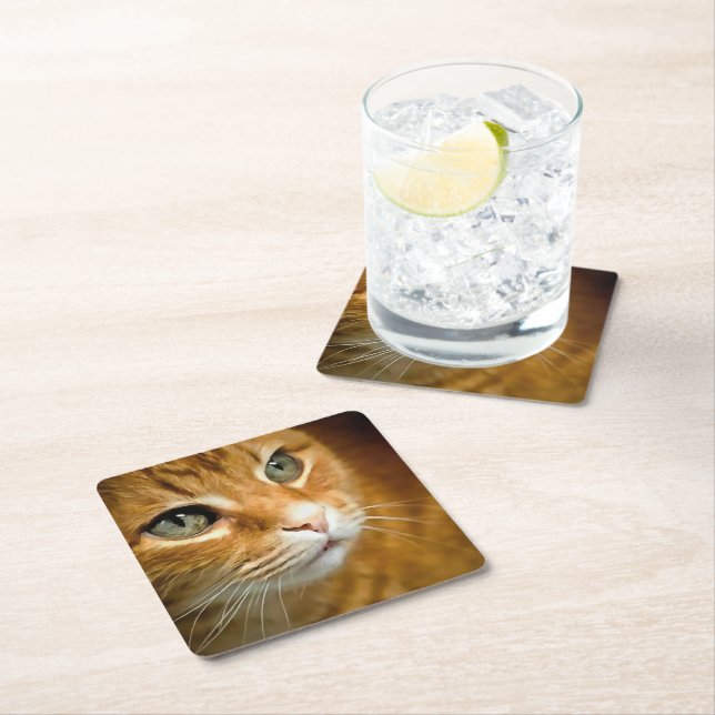 Adorable Ginger Tabby Cat Posing Pet Portrait Square Paper Coaster (Insitu)